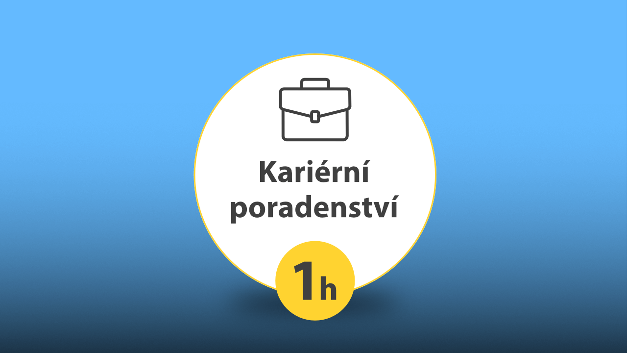 Individuální kariérní konzultace - 1h