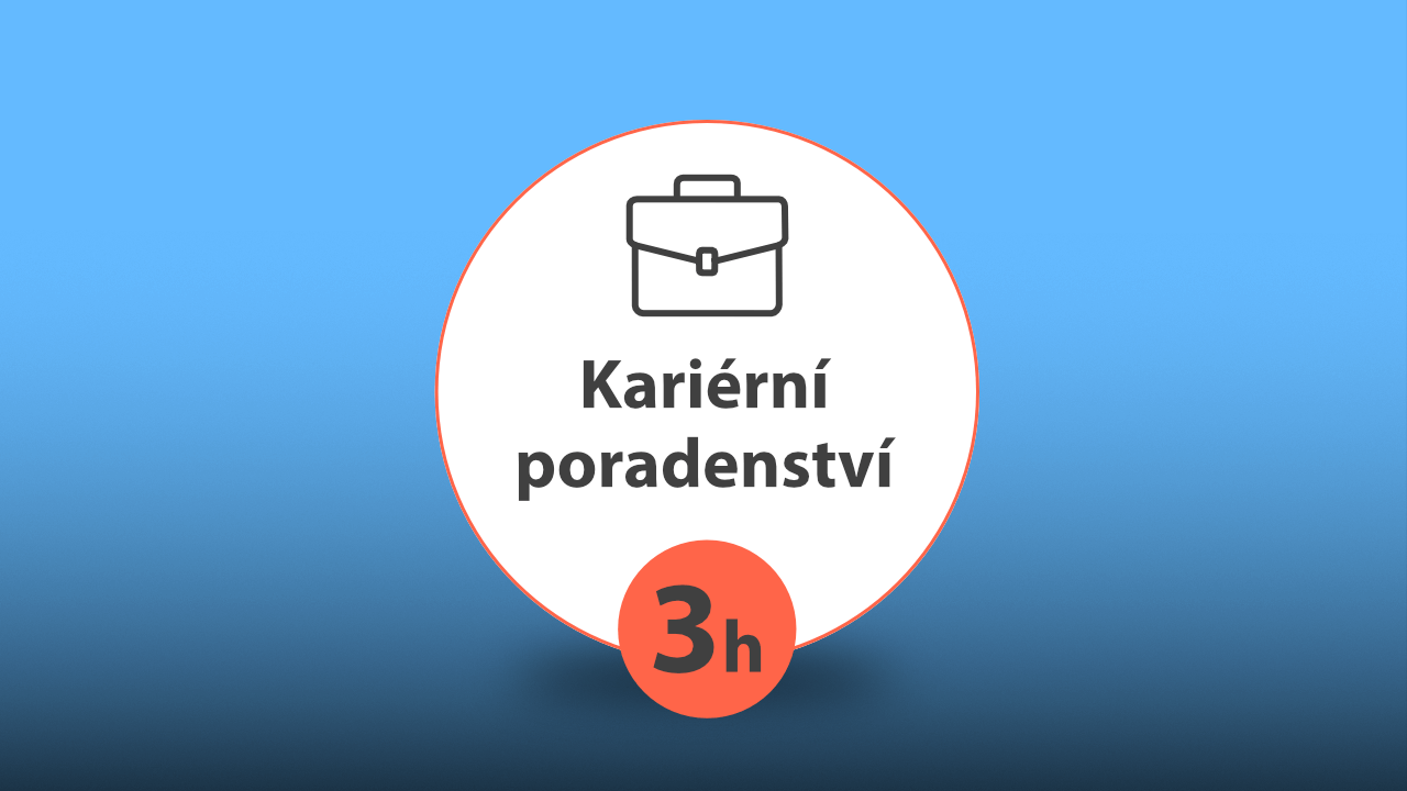 Individuální kariérní konzultace - 3h