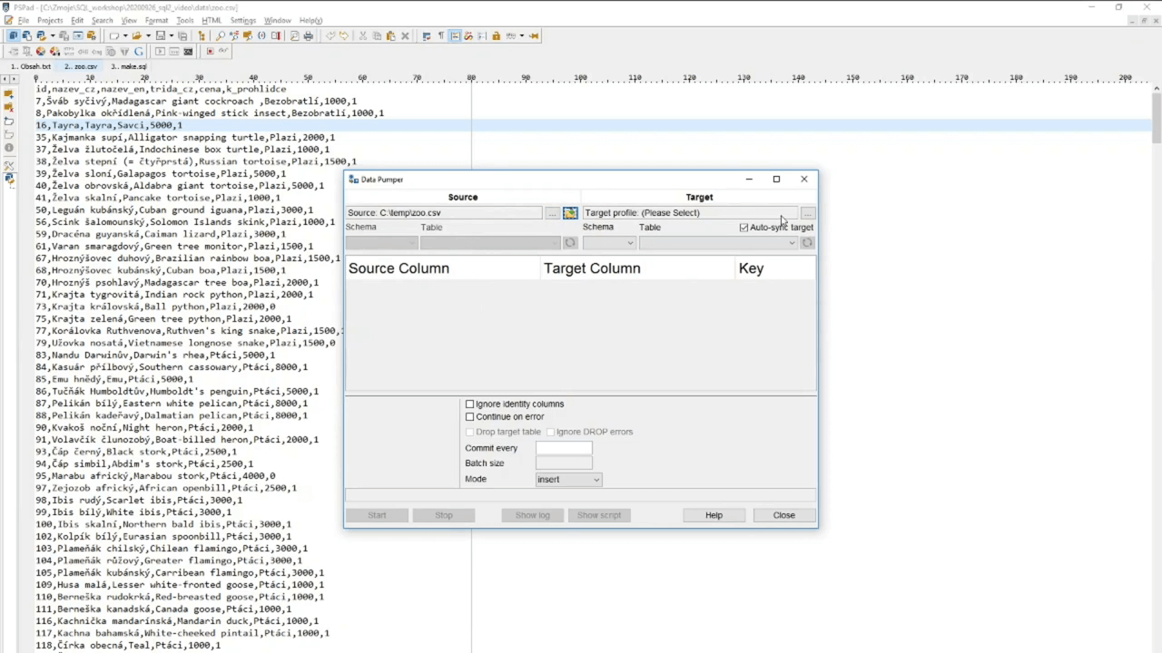 Ukázka SQL pro analytiky 2 - pokročilí