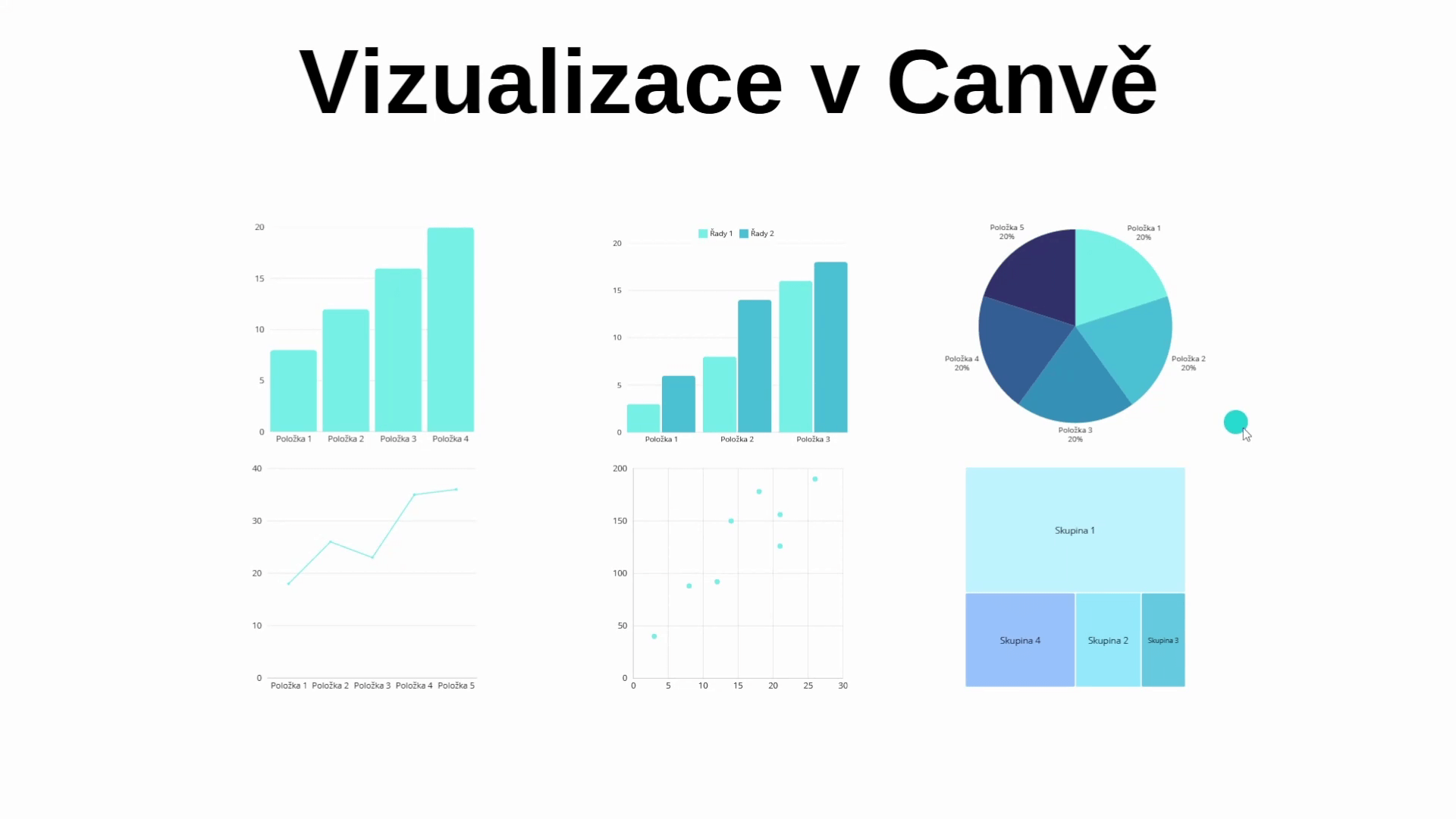 Ukázka Vizualizace dat v Canvě